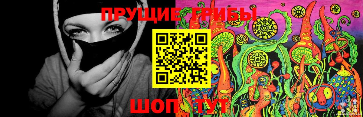 Кировск  Псилоцибиновые грибы Magic Shrooms  Вход с VPN 