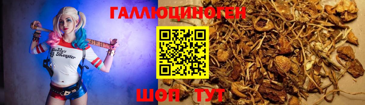 Псилоцибиновые грибы мухоморы Кировск
